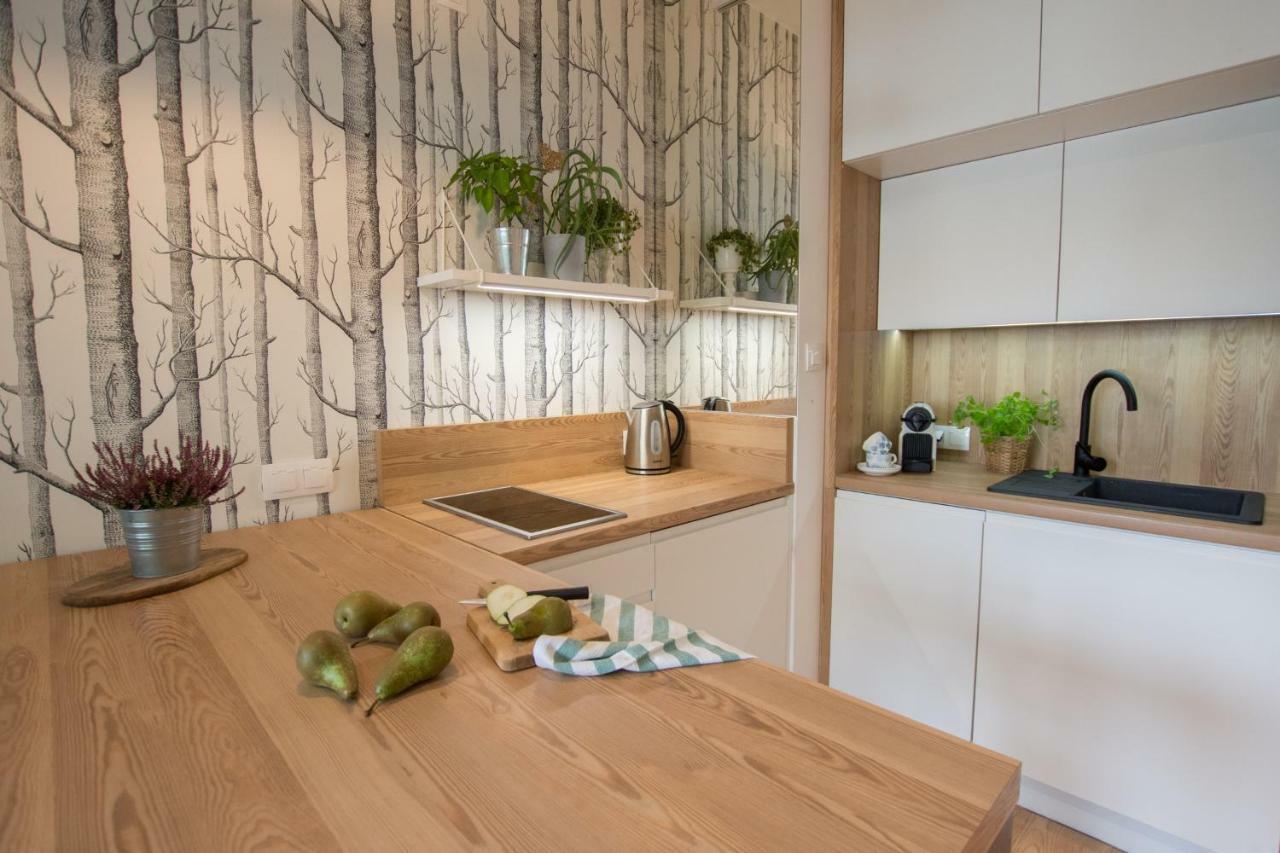Rakowicka Apartment Kraków Eksteriør billede